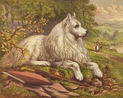 Pet Dogs by English School